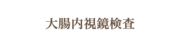 大腸内視鏡検査