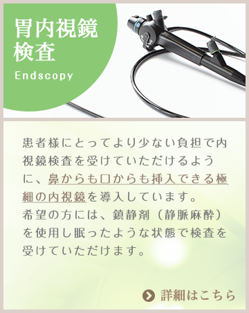 胃腸内視鏡検査：患者様にとってより少ない負担で内視鏡検査を受けていただけるように、鼻からも口からも挿入できる極細の内視鏡を導入しています。希望の方には、鎮静剤（静脈麻酔）を使用し眠ったような状態で検査を受けていただけます。