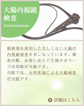 大腸内視鏡検査：鎮静剤を使用した苦しくない大腸の内視鏡検査をおこなっています。検査の際、必要に応じて生検やポリープの切除が可能です。当院では、女性医師による大腸検査が可能です。