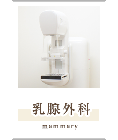 乳腺外科